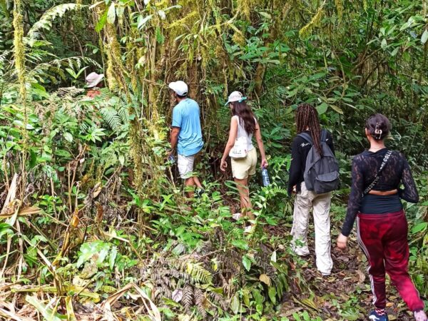 jungle hiking on Bedugul - BeratanSunrise.com